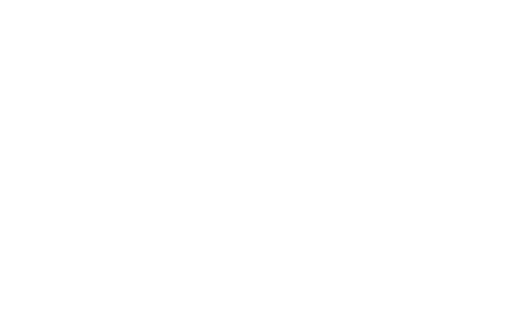BC Tree Service Logo